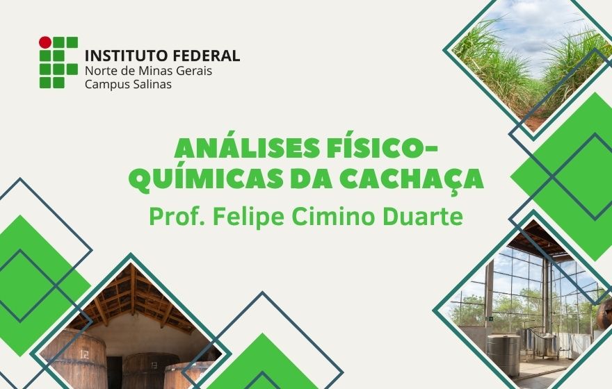Análises Físico-Químicas da Cachaça